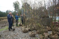 394466026_373385848360010_1616157408894304779_n