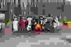 421888739_423819106650017_5448430338887039909_n