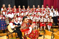 424627808_424105209954740_3142496593296785427_n